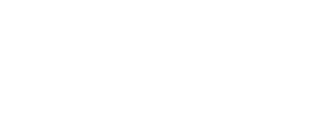 Logo Excellence Pro Franche-Comté
